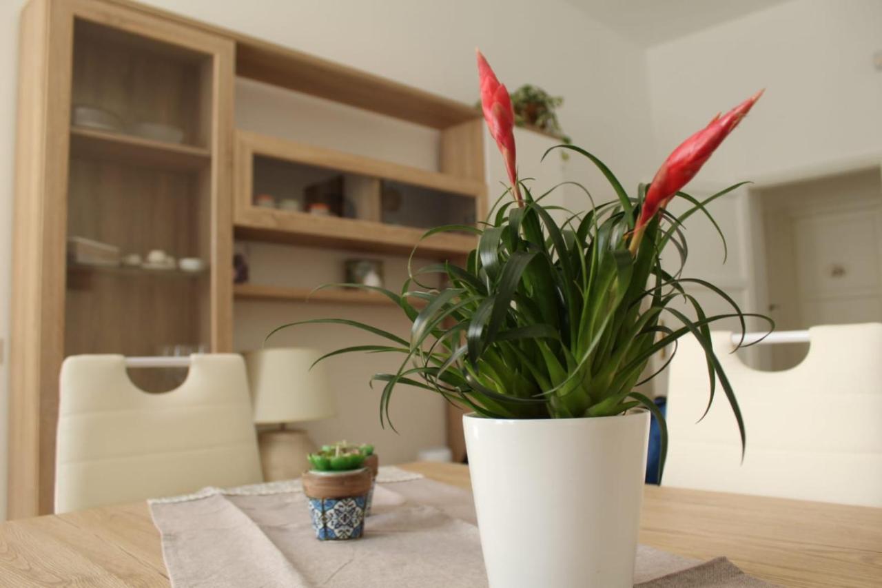 Ohana: Casa Nel Centro Di Лечче Экстерьер фото
